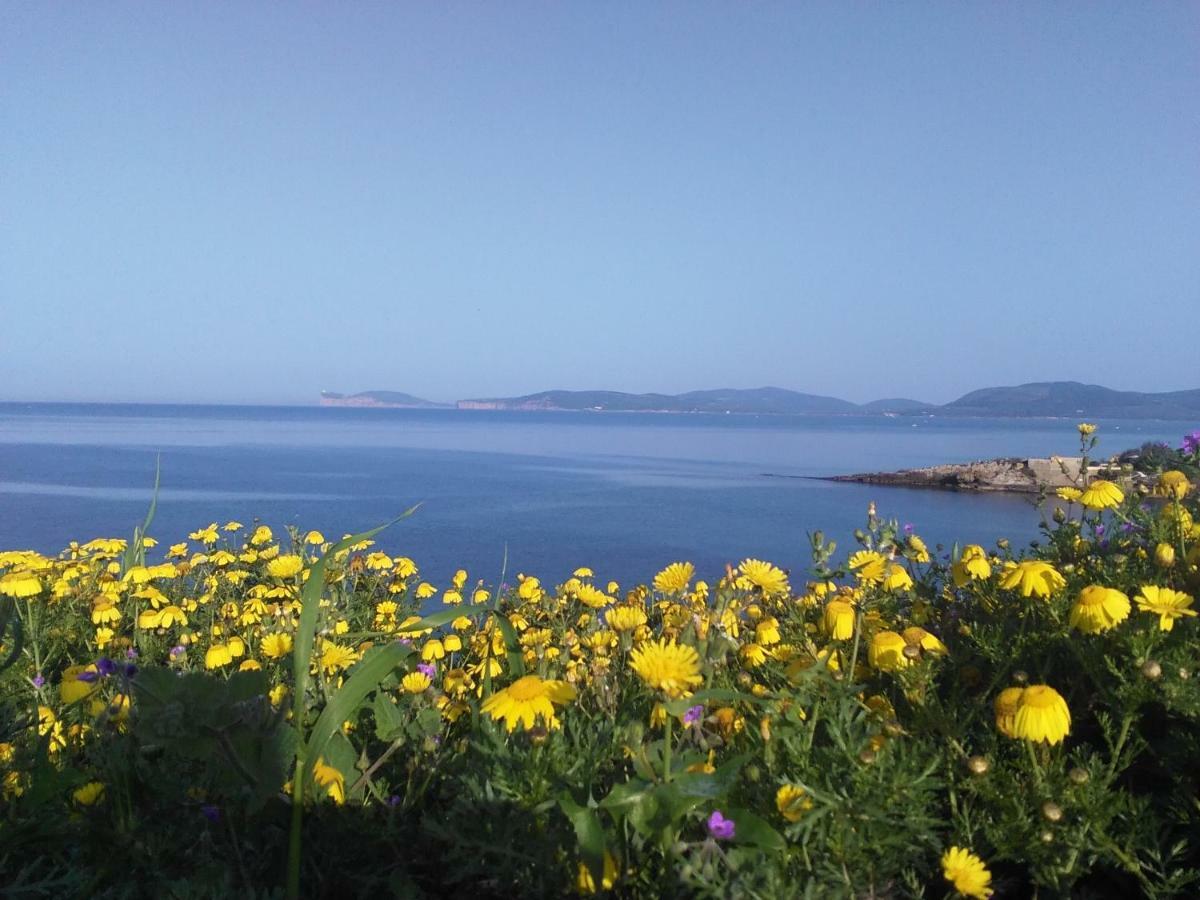 Giramondo Sardegna Affittacamere Alghero Ngoại thất bức ảnh